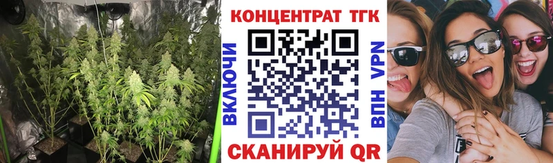 Купить где  Барыш  Дистиллят ТГК THC oil 