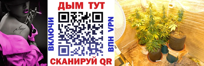 Купить  Барыш  Бошки марихуана индика 